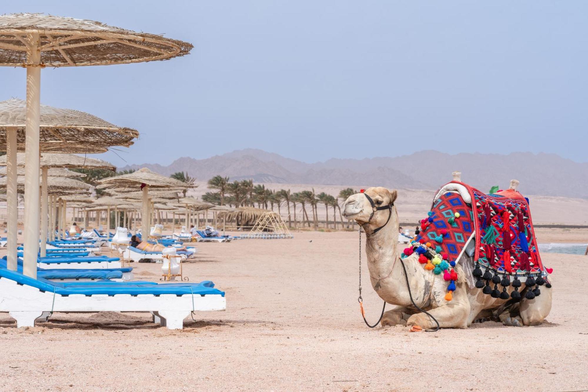 Faraana Heights Aqua Park Hotel Sharm-el-Sheikh Buitenkant foto